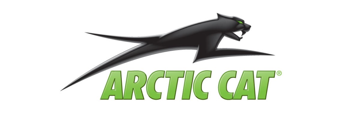 arctic cat
